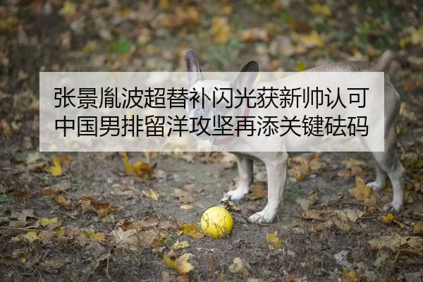 张景胤波超替补闪光获新帅认可 中国男排留洋攻坚再添关键砝码